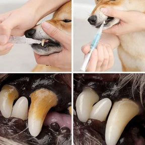 Kit Limpeza de dentes para Pets